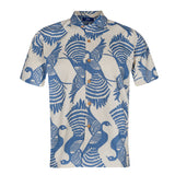 Men Cuban-Blue Peacock