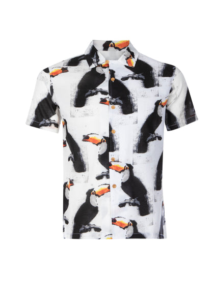Toucan Bird Cuban
